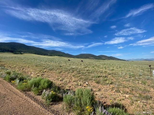 690 Eagle Gate Road Westcliffe CO 81252