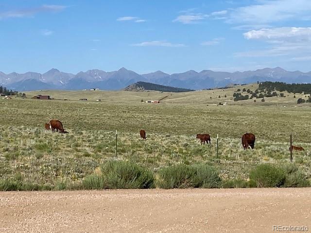 690 Eagle Gate Road Westcliffe CO 81252