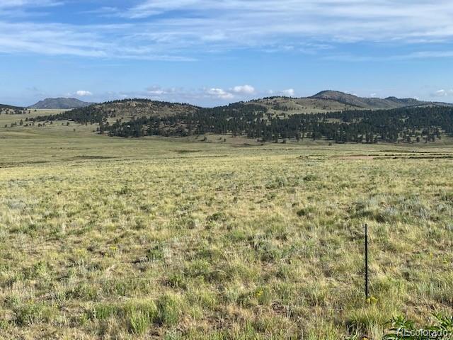 690 Eagle Gate Road Westcliffe CO 81252
