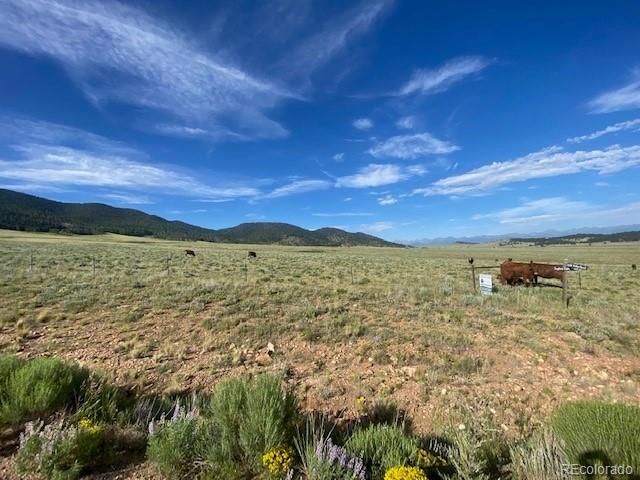 690 Eagle Gate Road Westcliffe CO 81252
