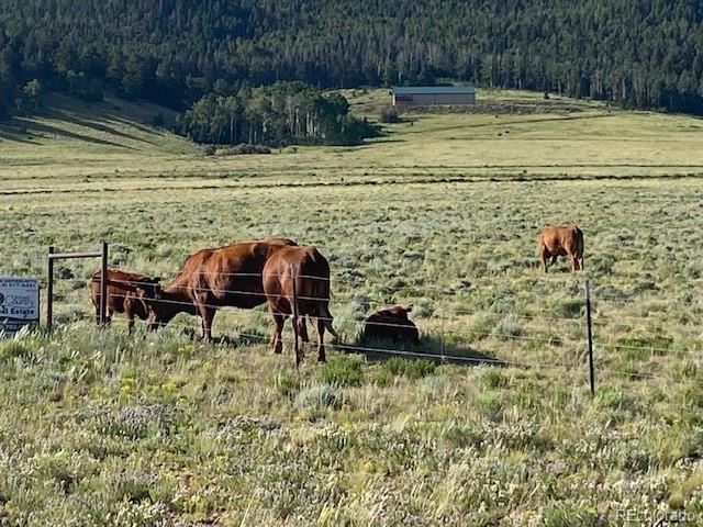 690 Eagle Gate Road Westcliffe CO 81252