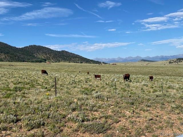 690 Eagle Gate Road Westcliffe CO 81252