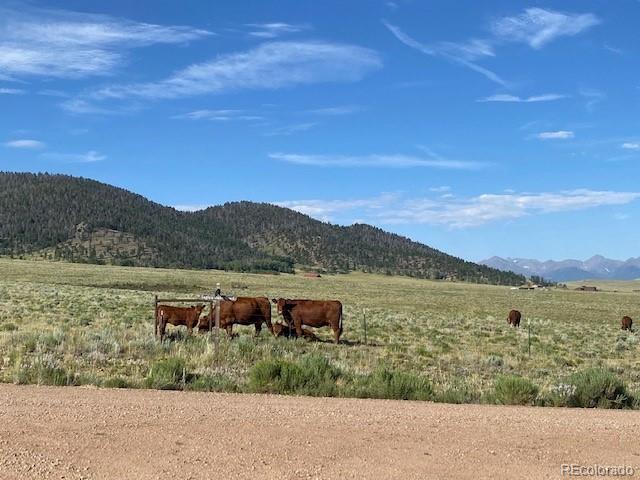 690 Eagle Gate Road Westcliffe CO 81252