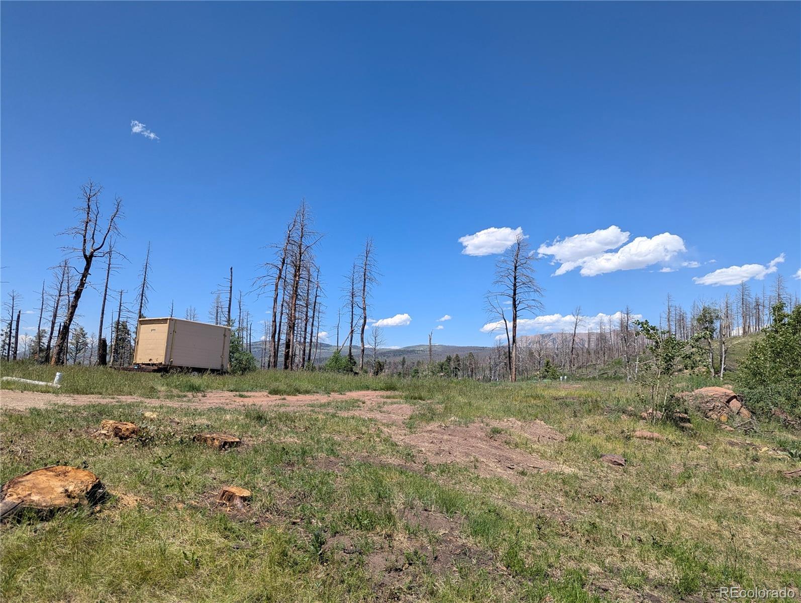 954 Forbes Park Road Fort Garland CO 81133