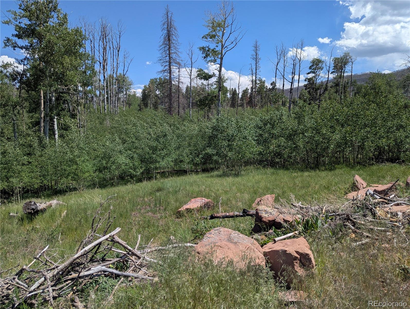 954 Forbes Park Road Fort Garland CO 81133