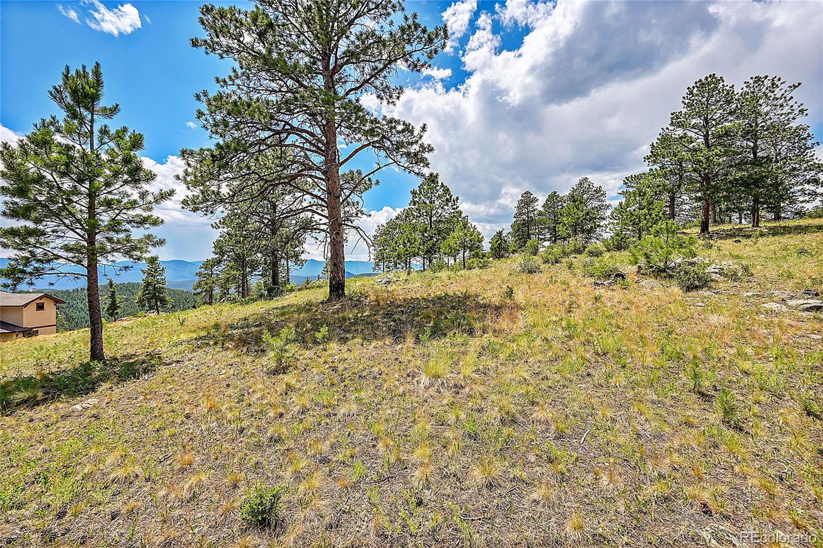 33550 Mount Wilson Trail Pine CO 80470