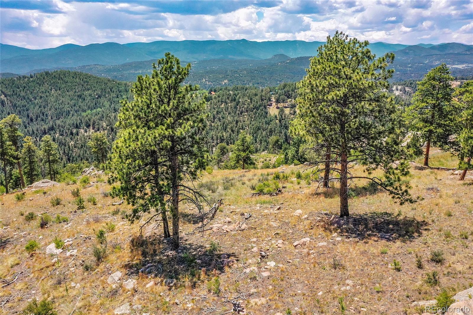 33550 Mount Wilson Trail Pine CO 80470