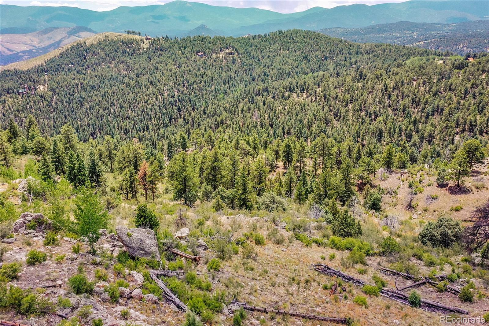 33550 Mount Wilson Trail Pine CO 80470