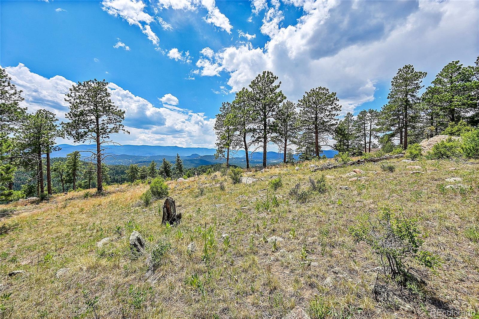 33550 Mount Wilson Trail Pine CO 80470