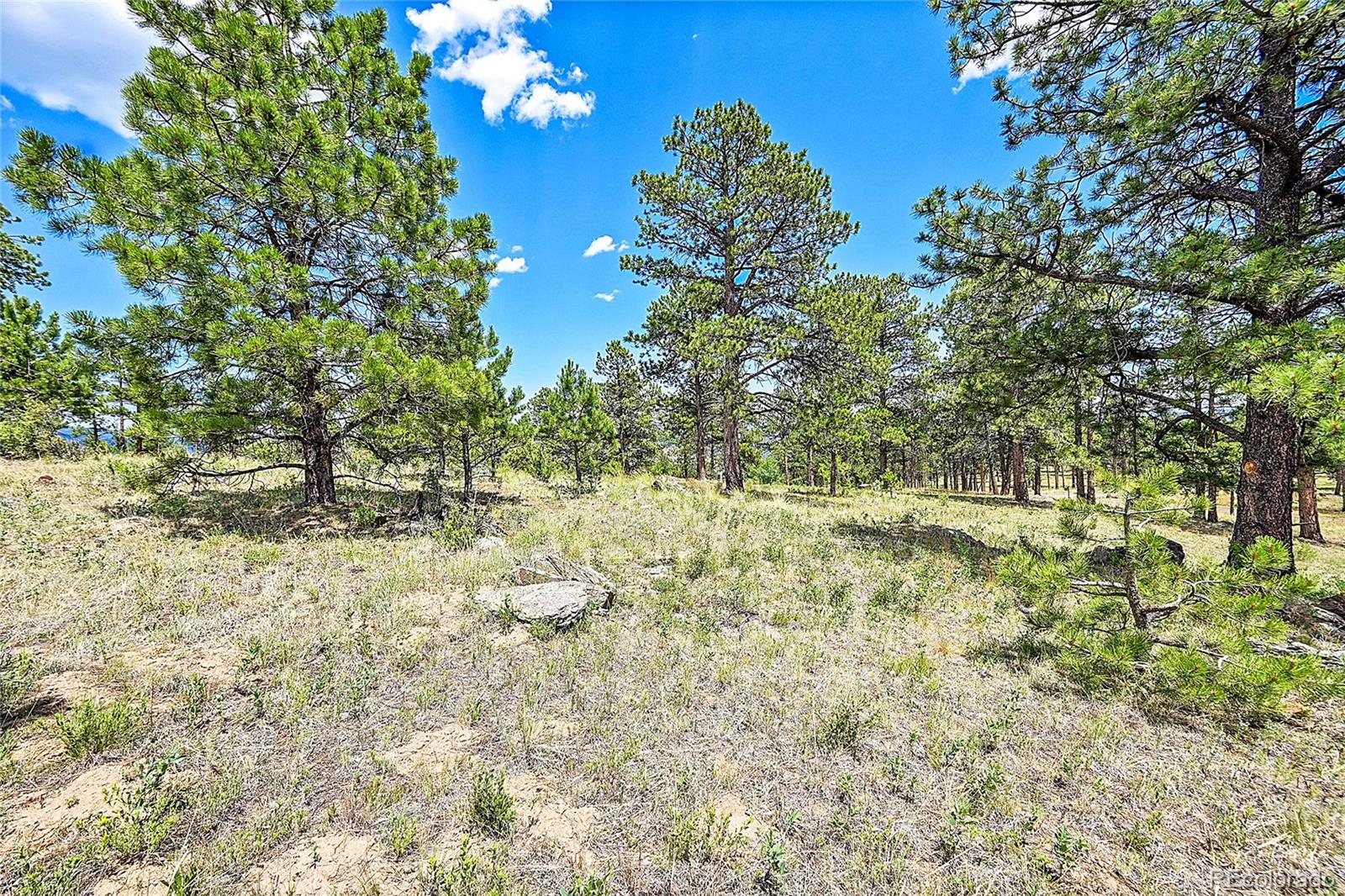 33550 Mount Wilson Trail Pine CO 80470