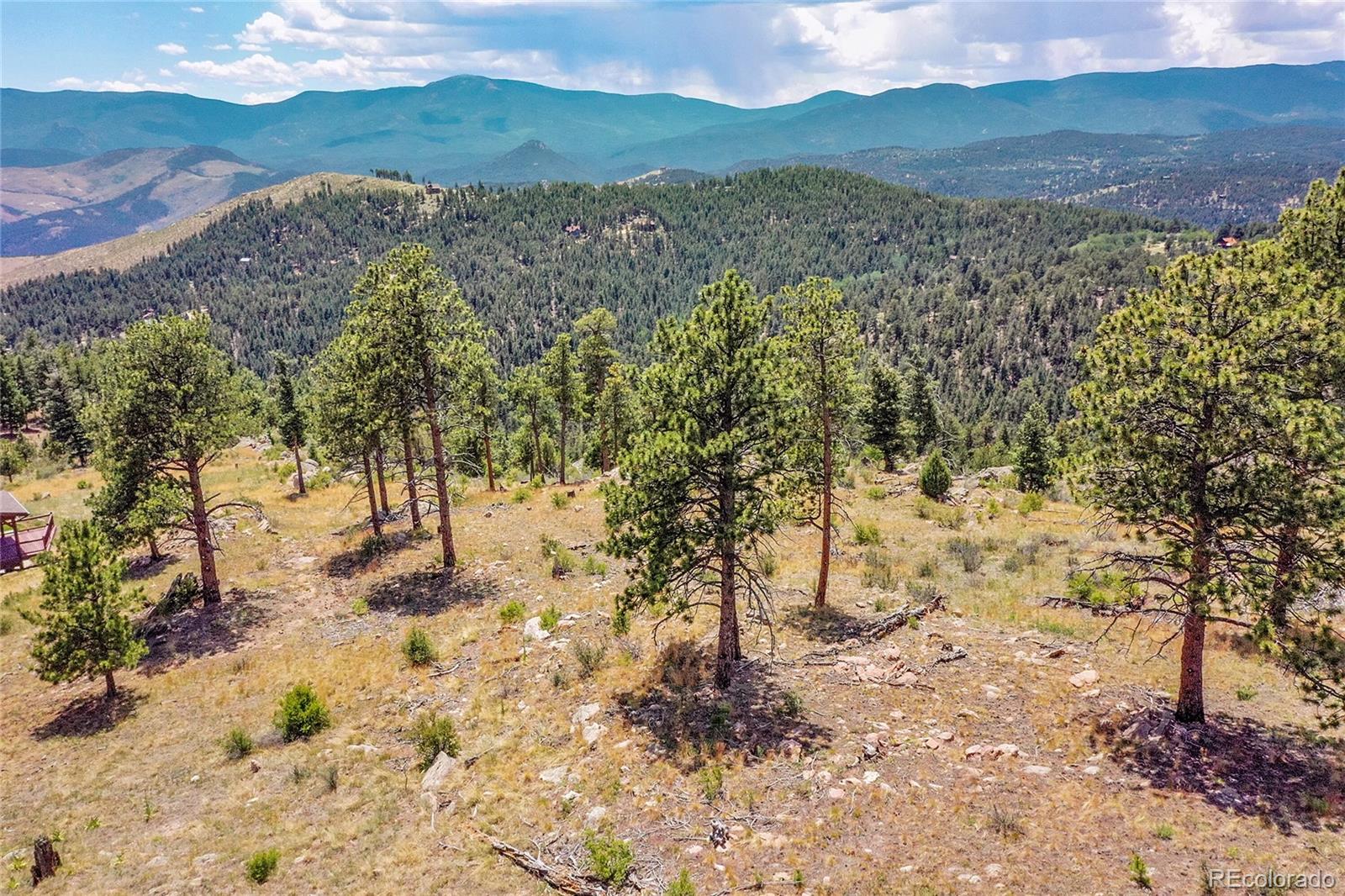 33550 Mount Wilson Trail Pine CO 80470