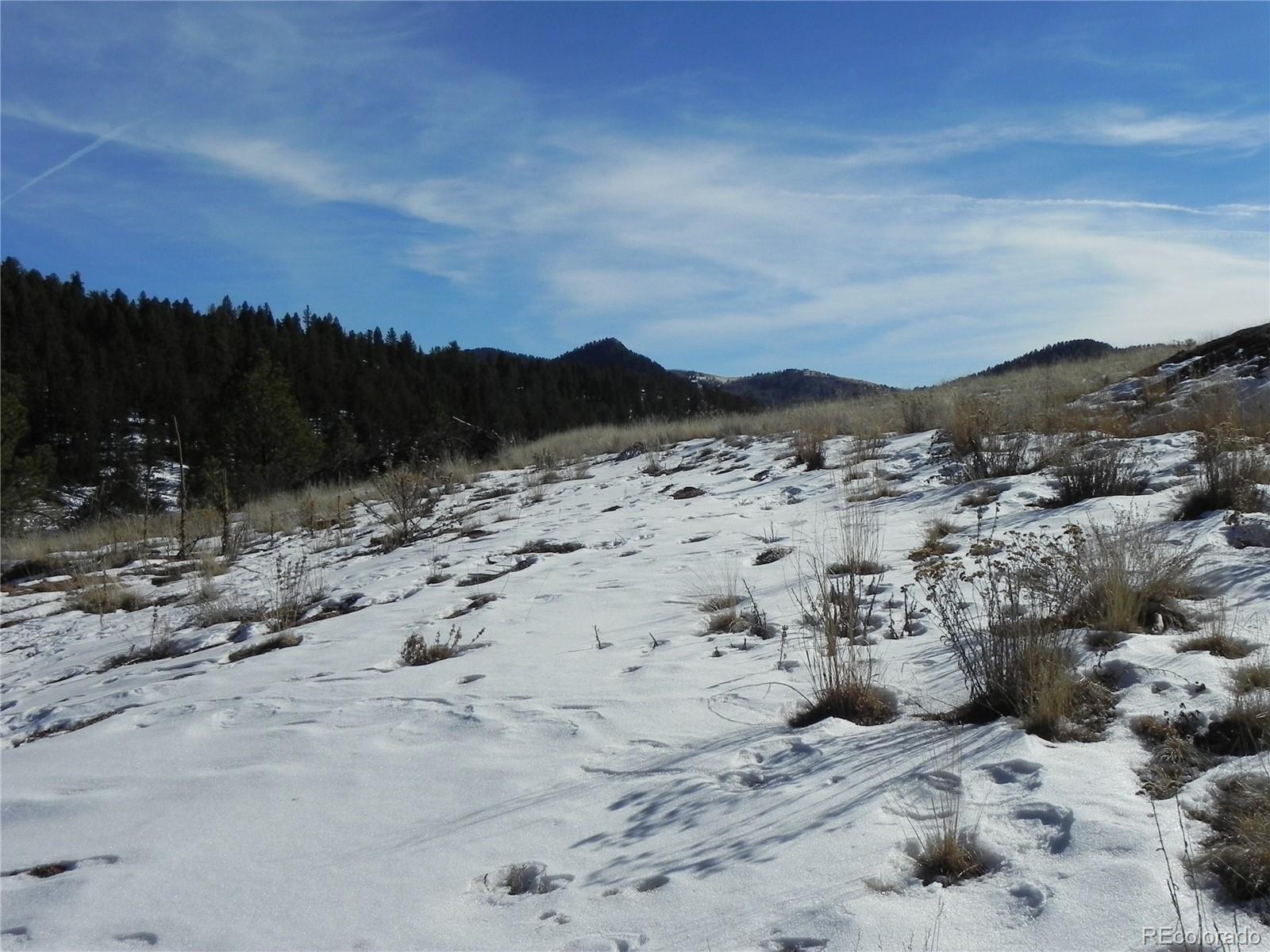 277 Gold King Drive Cripple Creek CO 80813