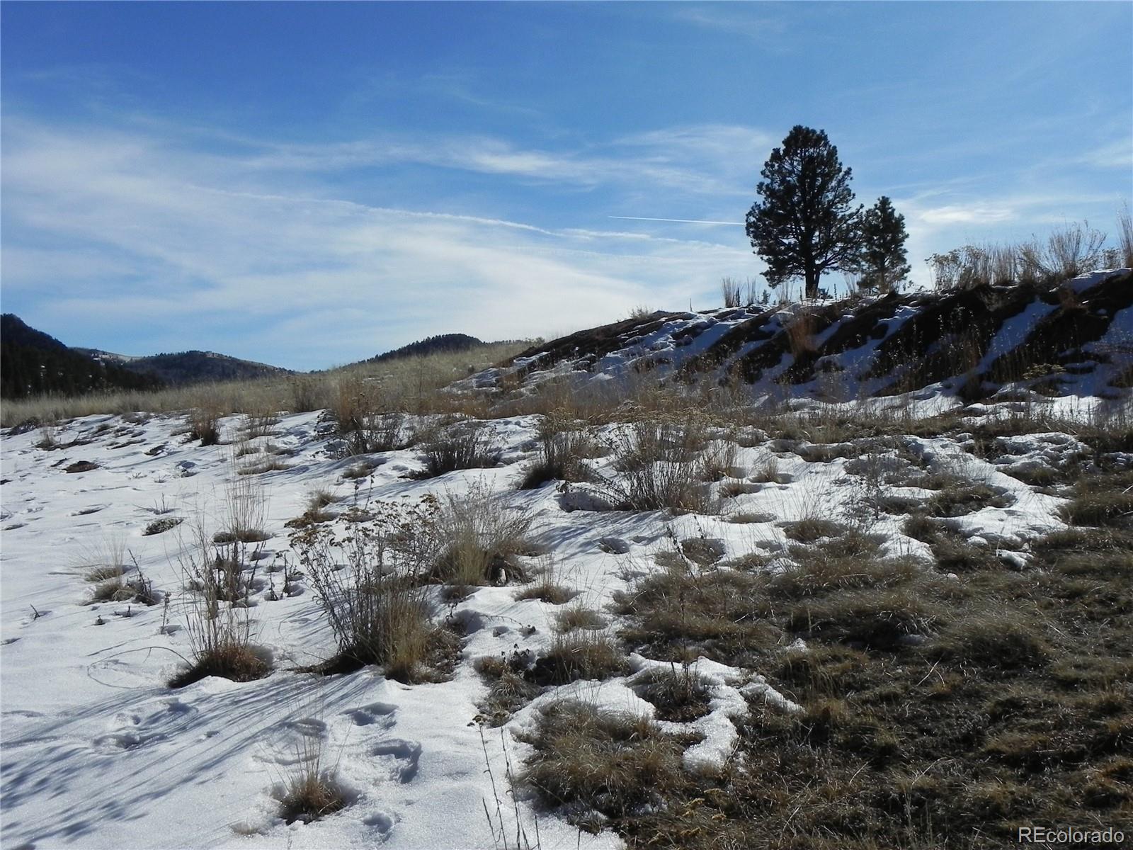 277 Gold King Drive Cripple Creek CO 80813