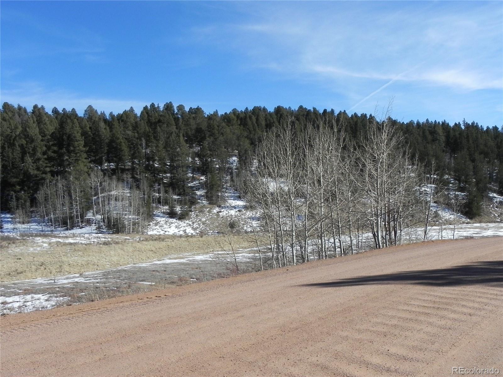 277 Gold King Drive Cripple Creek CO 80813