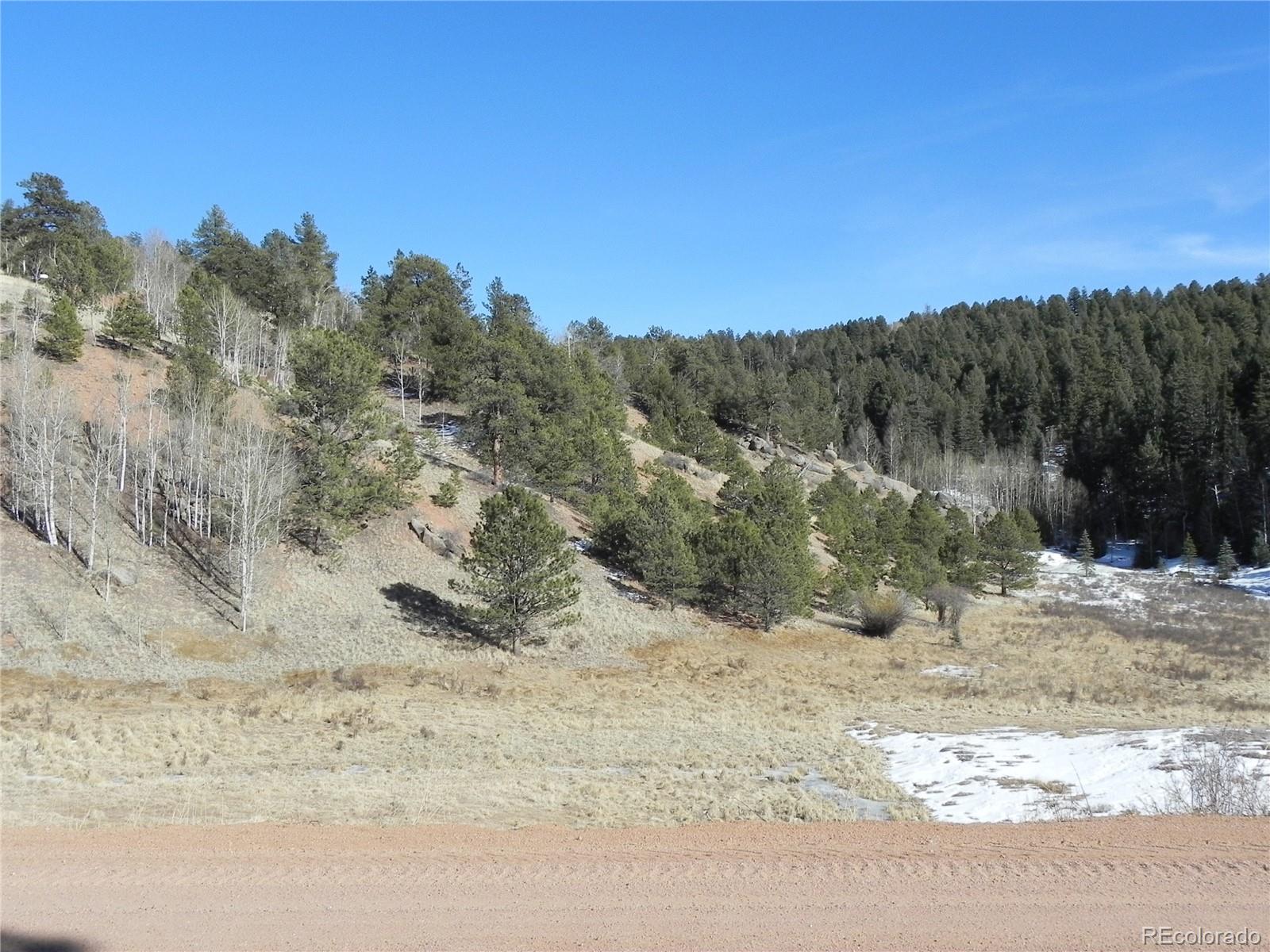 277 Gold King Drive Cripple Creek CO 80813