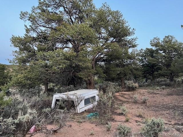 7386 Platten Road Fort Garland CO 81133