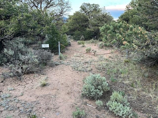 7386 Platten Road Fort Garland CO 81133