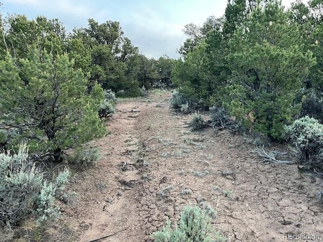 7386 Platten Road Fort Garland CO 81133