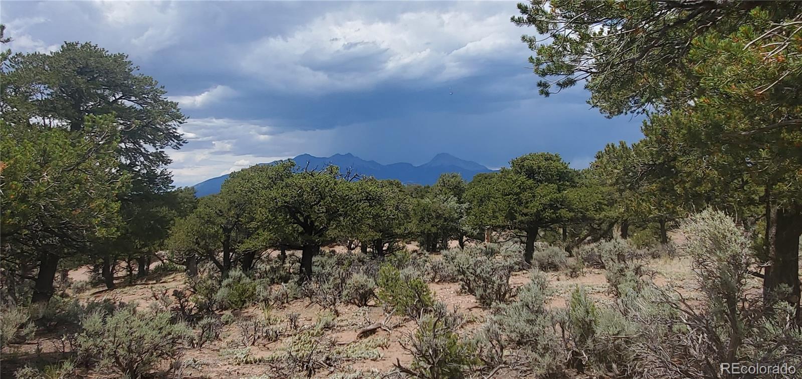 LOT3696 Branch Road Fort Garland CO 81133
