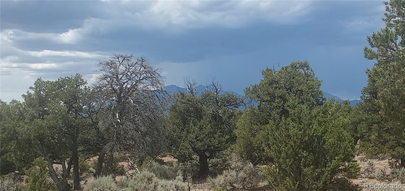 LOT3696 Branch Road Fort Garland CO 81133