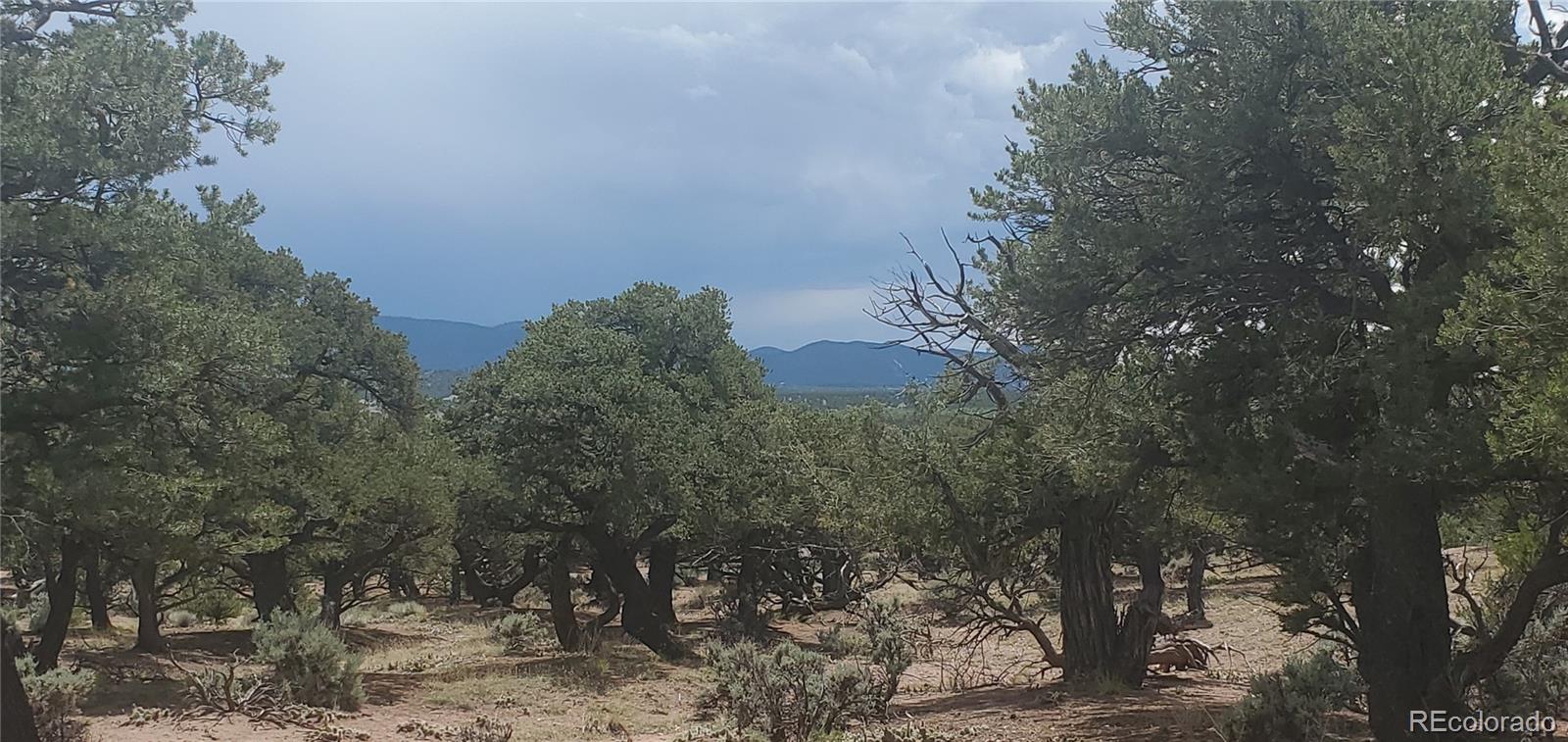 LOT3696 Branch Road Fort Garland CO 81133