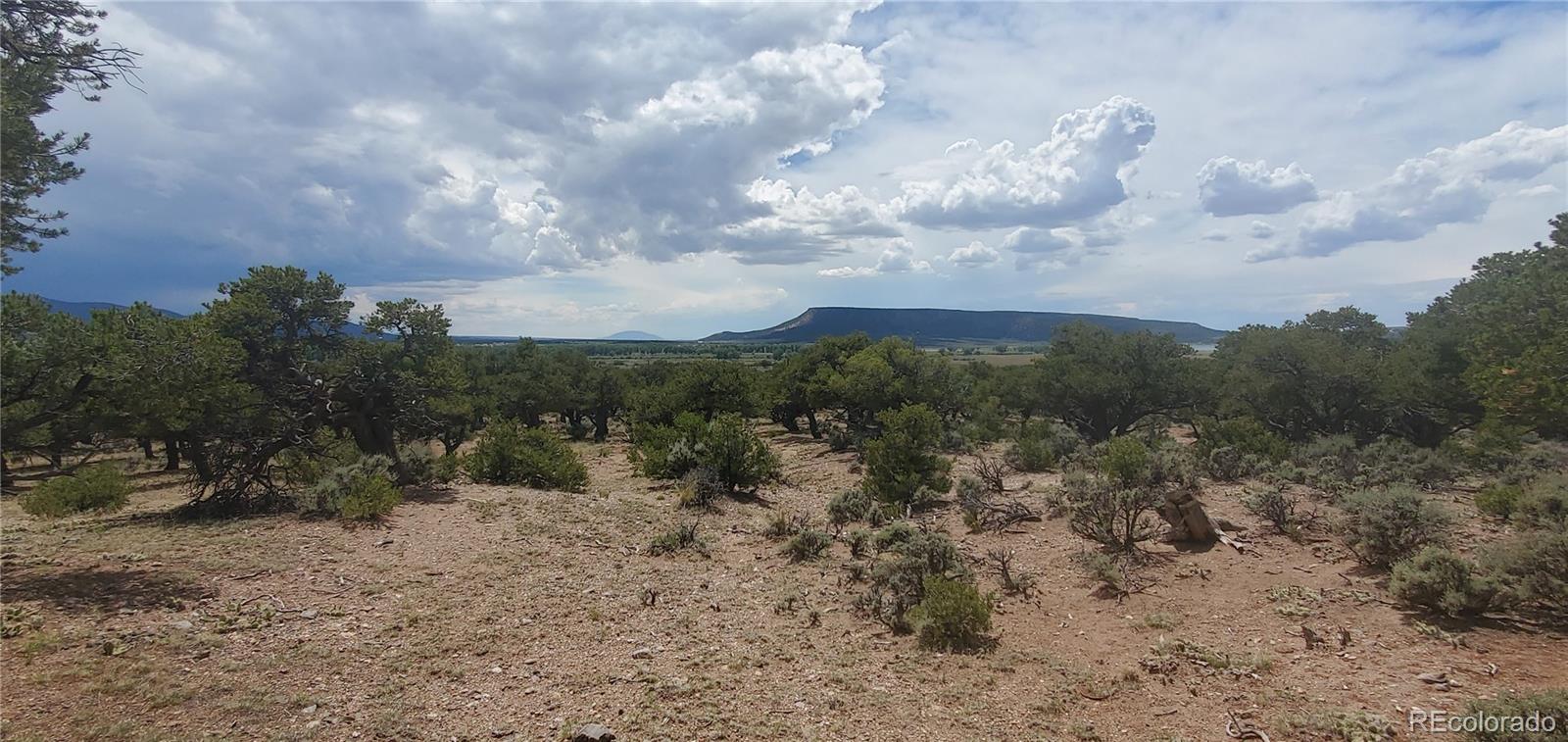LOT3696 Branch Road Fort Garland CO 81133