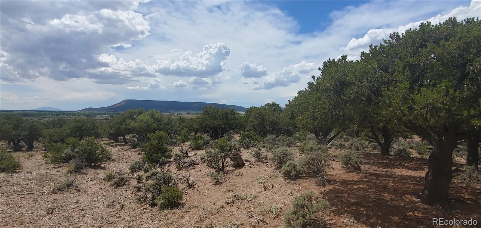 LOT3696 Branch Road Fort Garland CO 81133