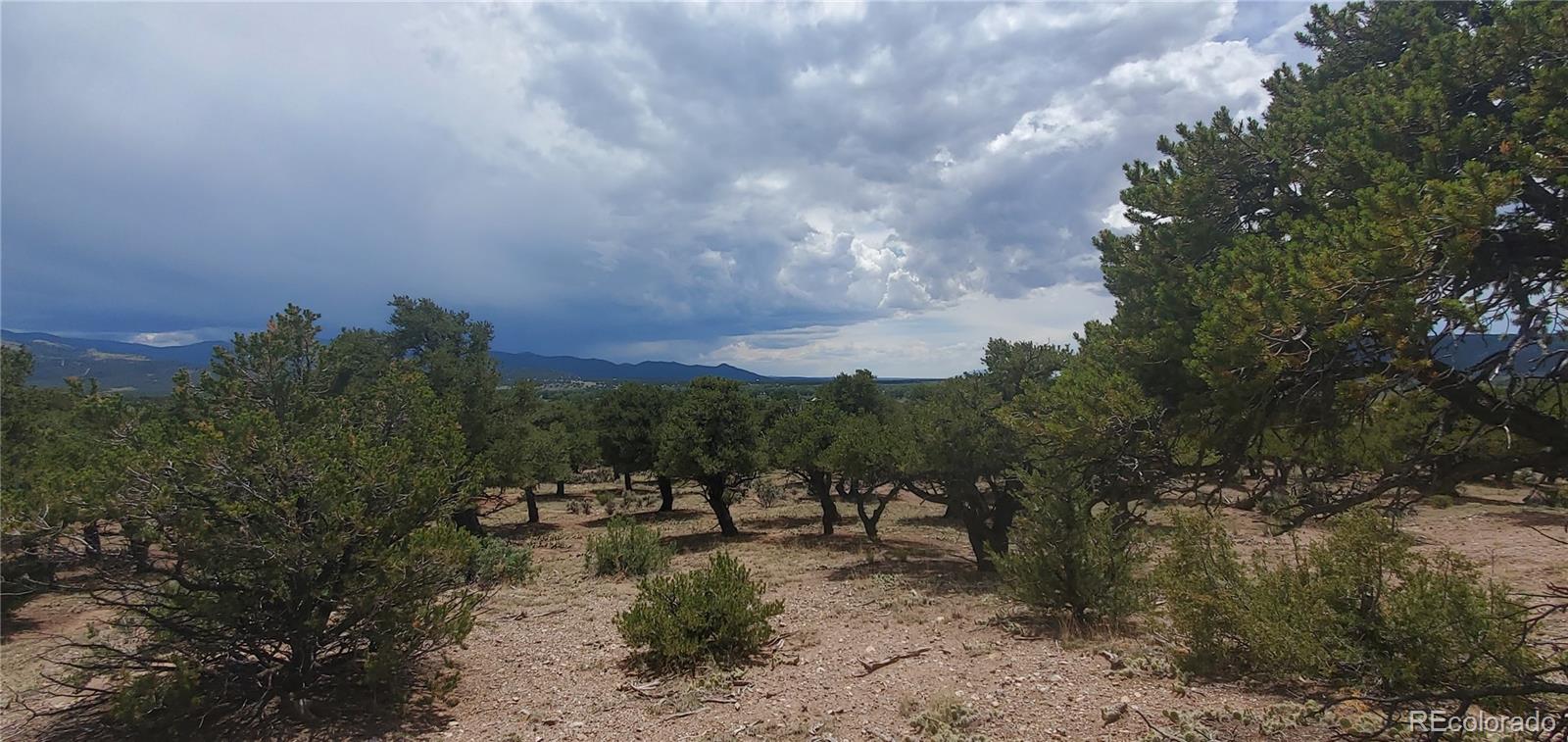 LOT3696 Branch Road Fort Garland CO 81133