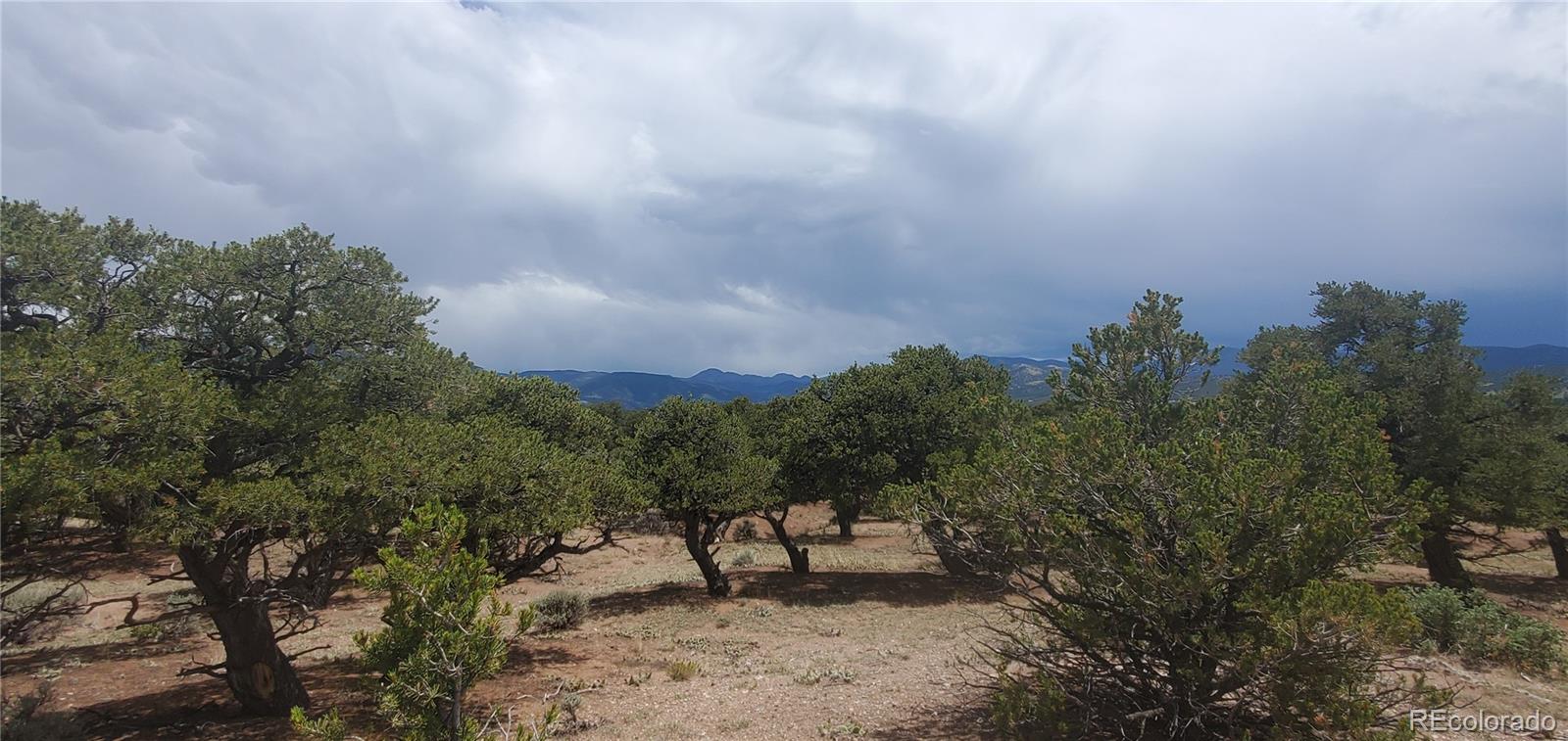 LOT3696 Branch Road Fort Garland CO 81133