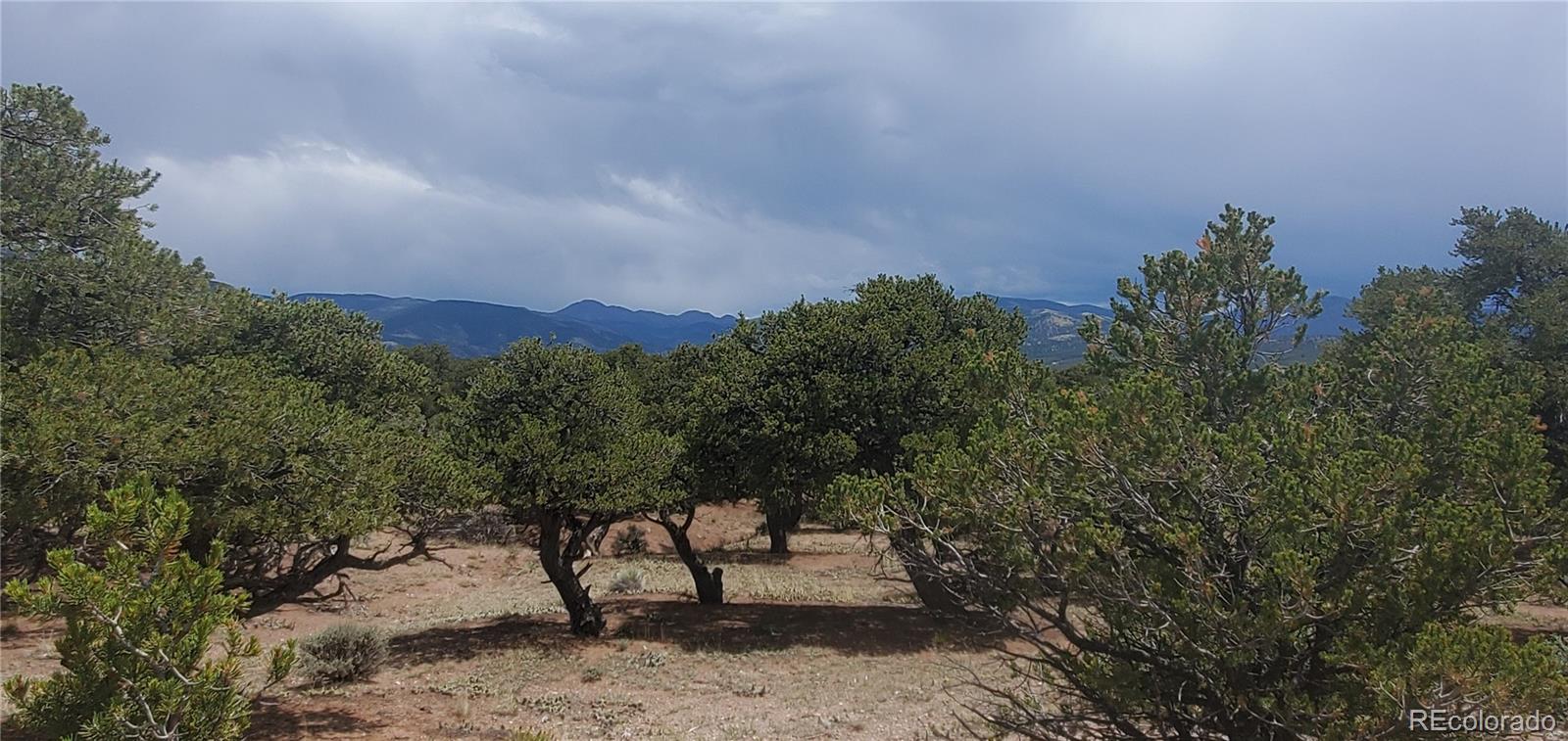 LOT3696 Branch Road Fort Garland CO 81133
