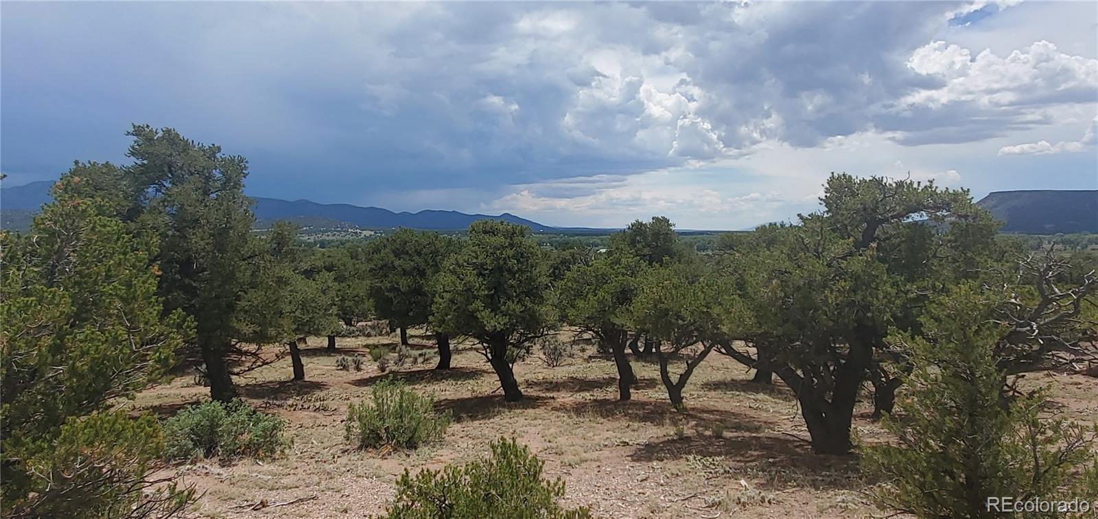 LOT3696 Branch Road Fort Garland CO 81133
