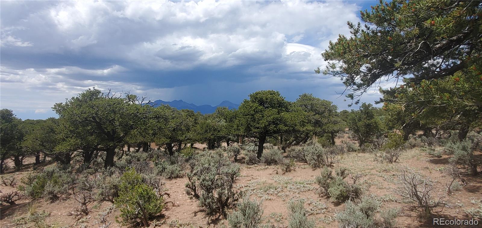 LOT3696 Branch Road Fort Garland CO 81133