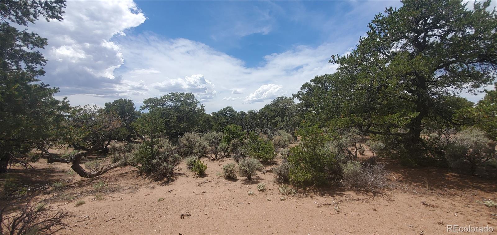 LOT3696 Branch Road Fort Garland CO 81133