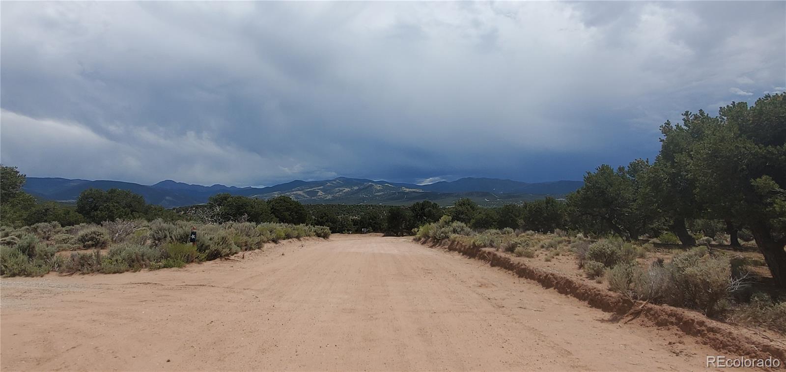 LOT3696 Branch Road Fort Garland CO 81133