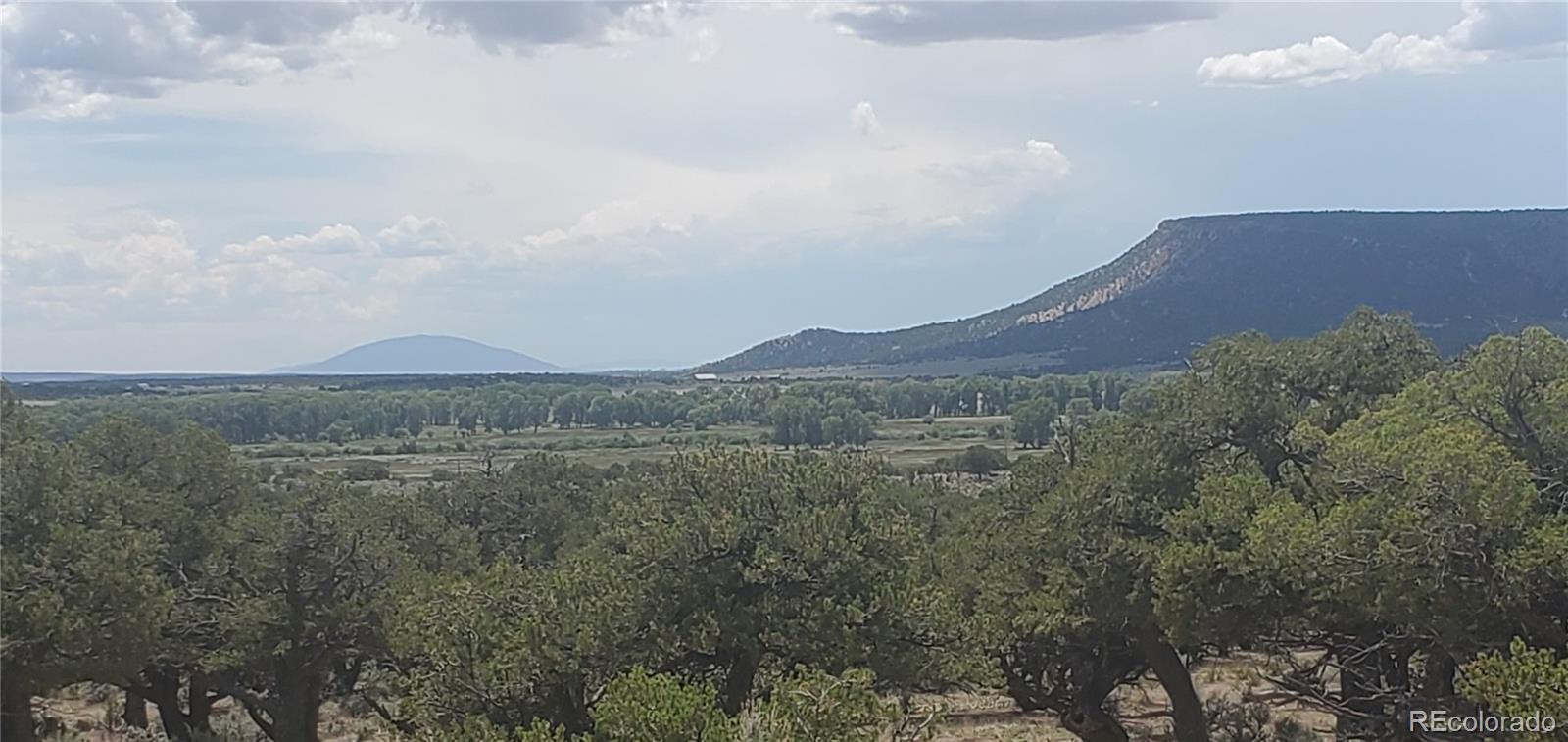 LOT3696 Branch Road Fort Garland CO 81133