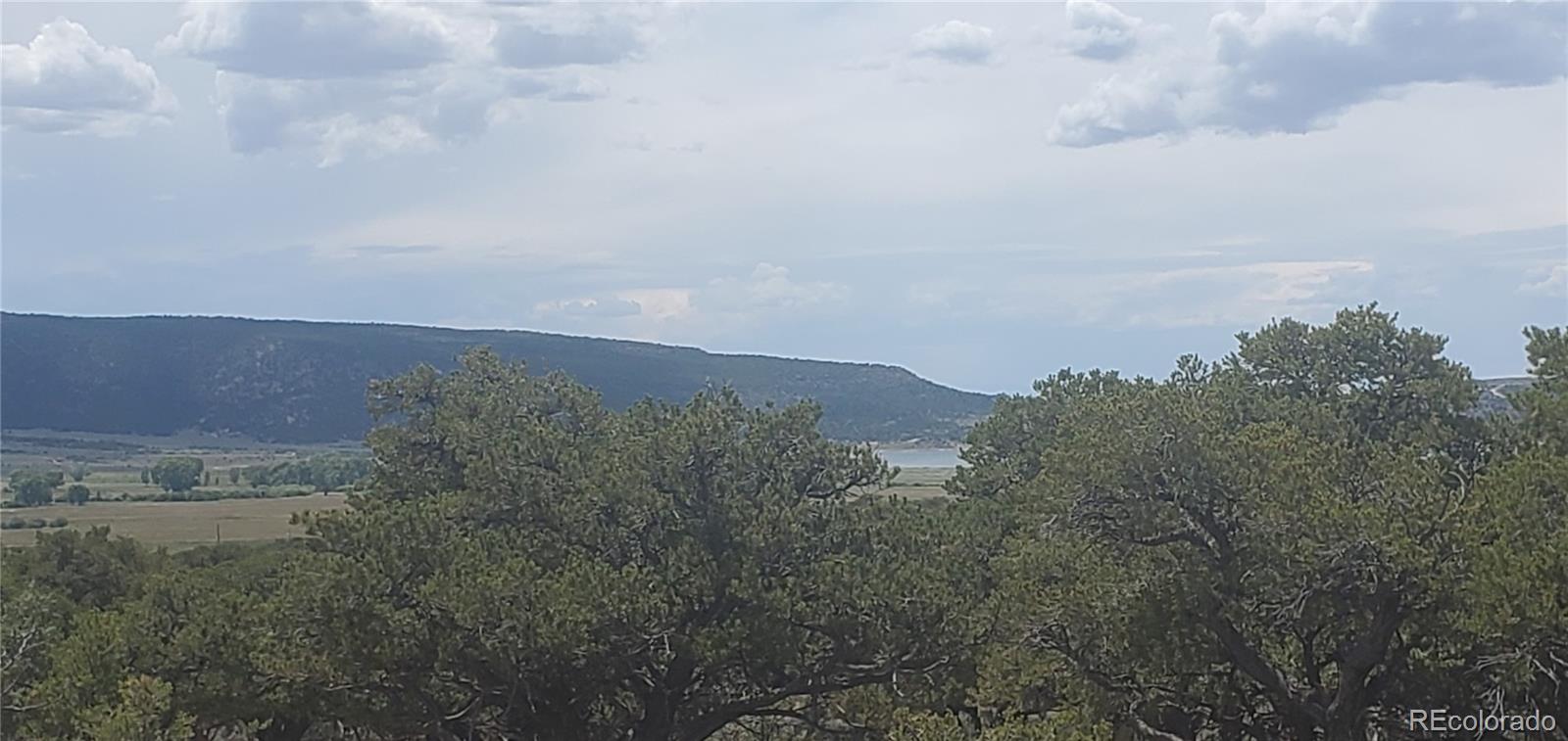 LOT3696 Branch Road Fort Garland CO 81133