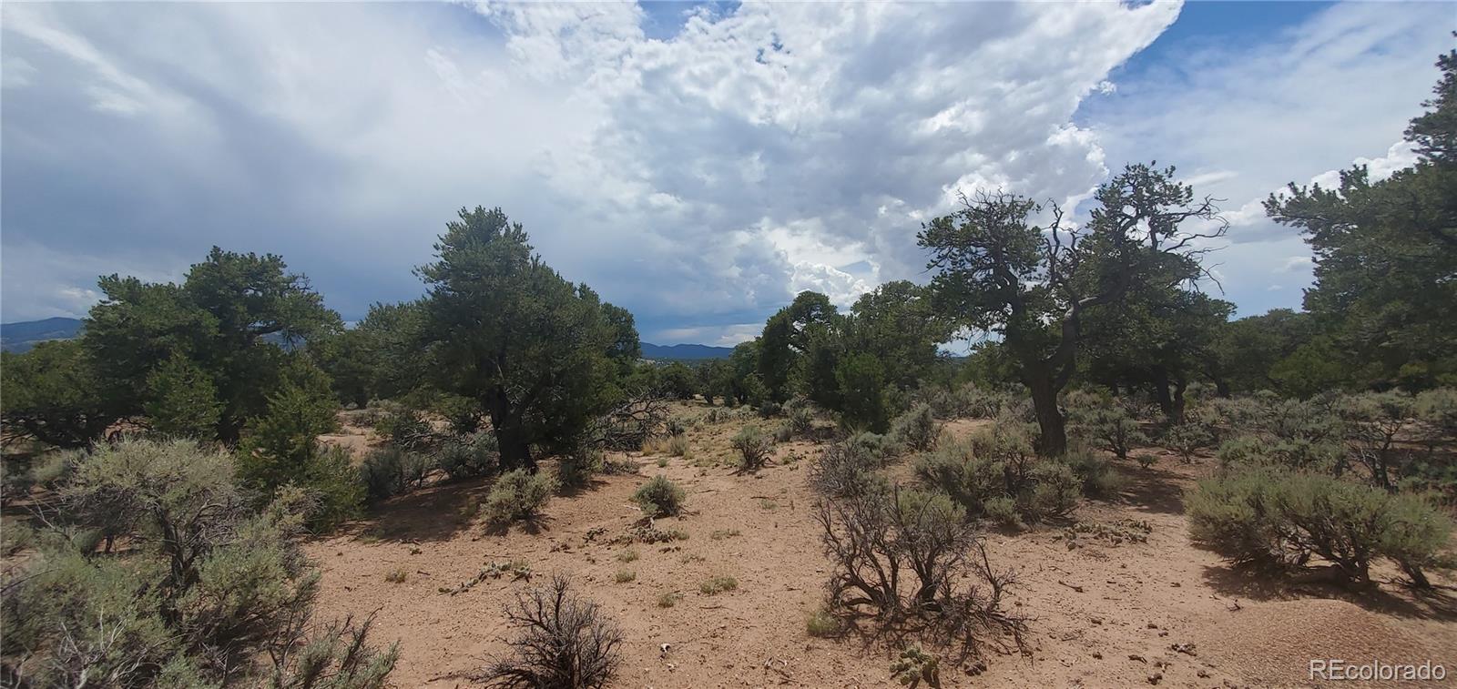LOT3696 Branch Road Fort Garland CO 81133