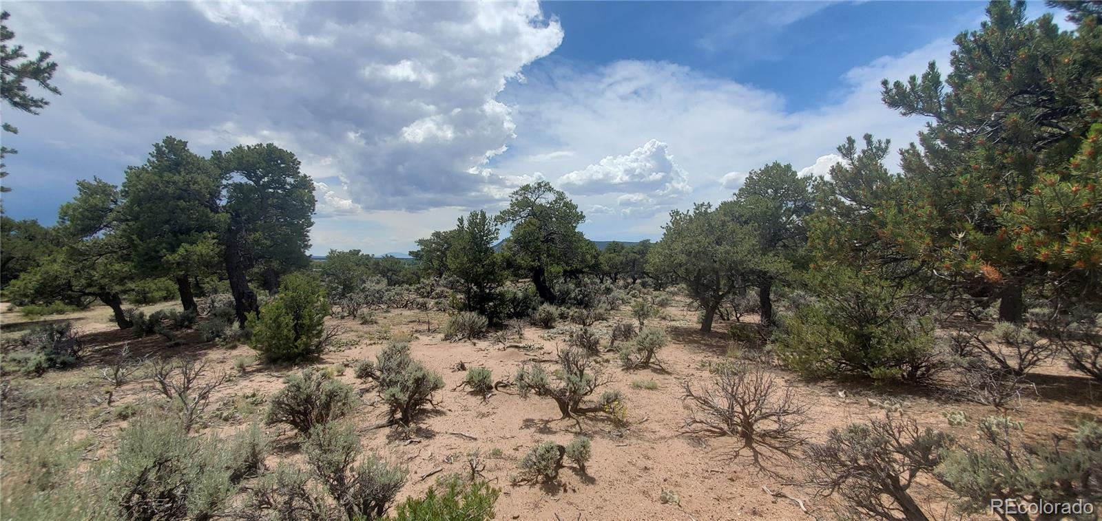 LOT3696 Branch Road Fort Garland CO 81133