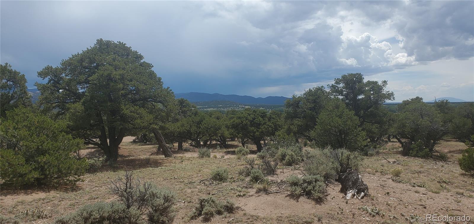 LOT3696 Branch Road Fort Garland CO 81133