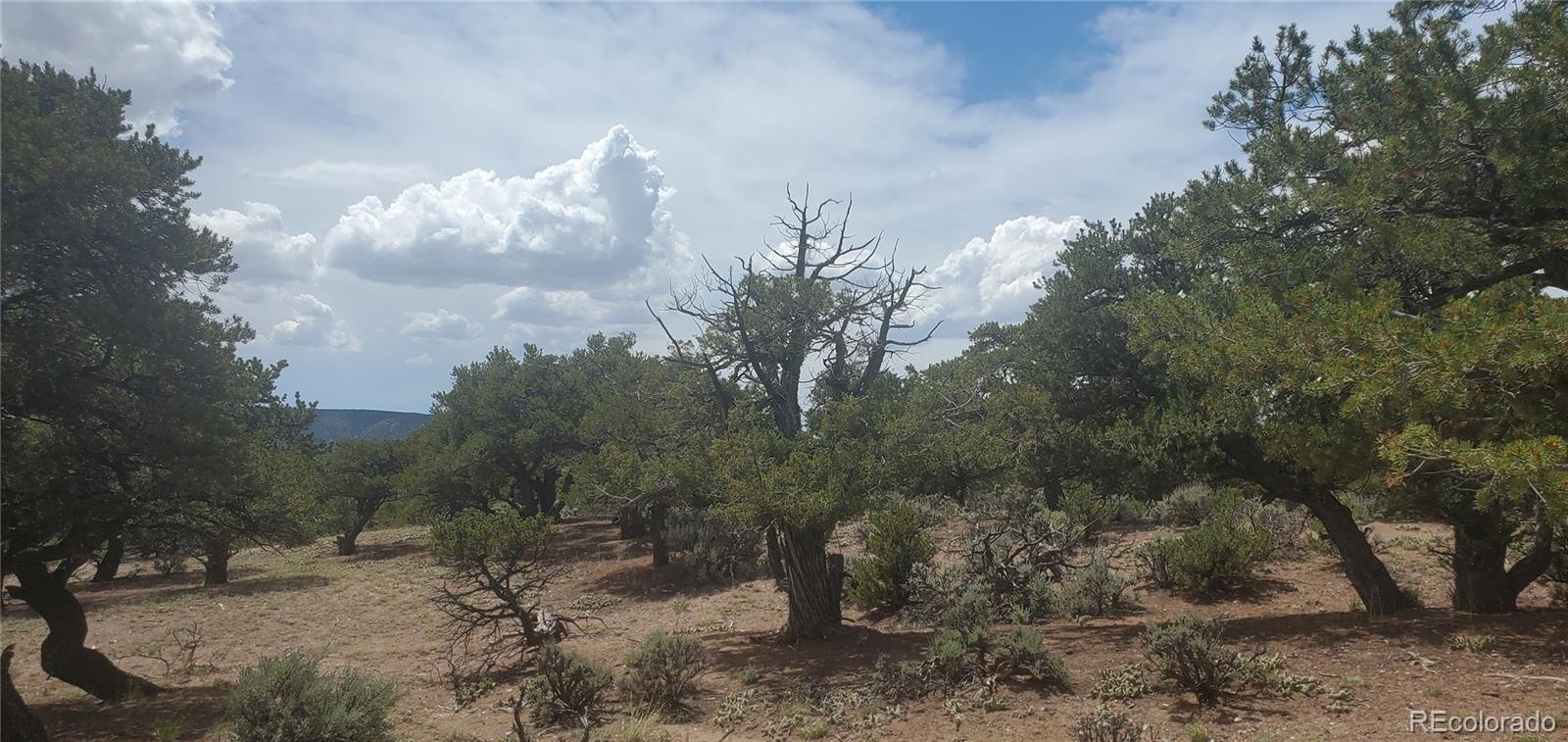 LOT3696 Branch Road Fort Garland CO 81133