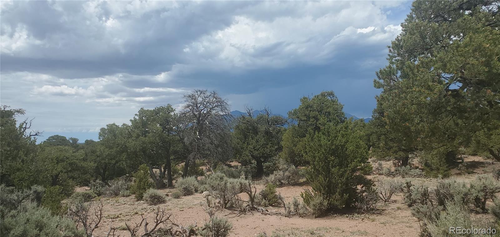 LOT3696 Branch Road Fort Garland CO 81133