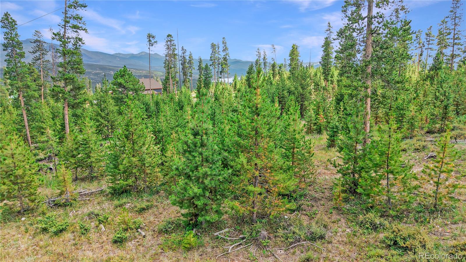 90 County Road 452 Grand Lake CO 80447