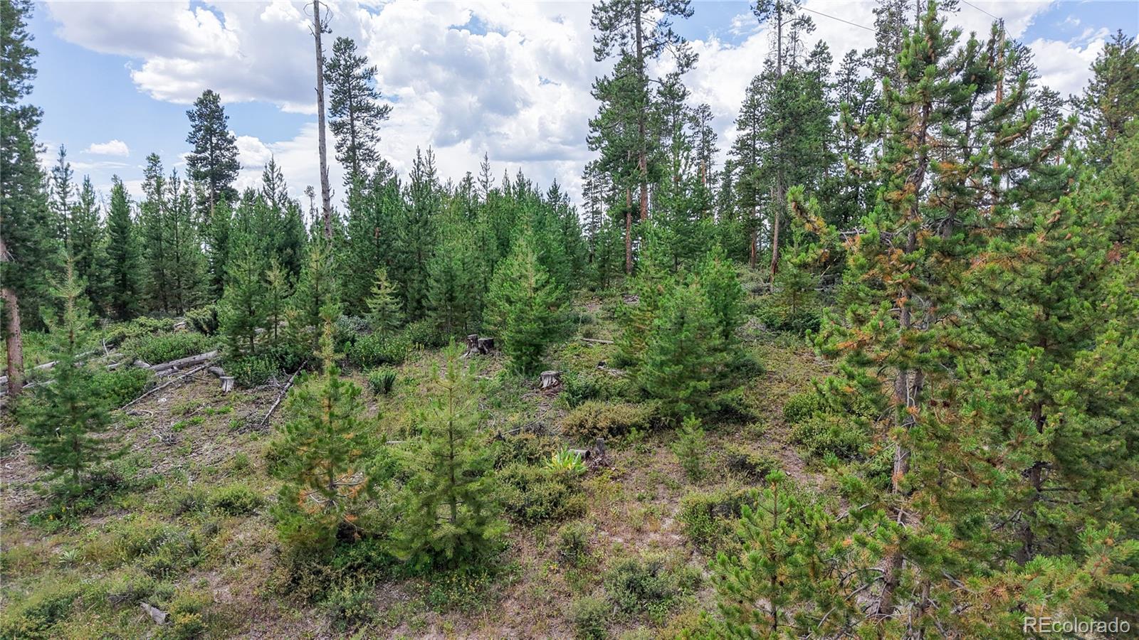 90 County Road 452 Grand Lake CO 80447