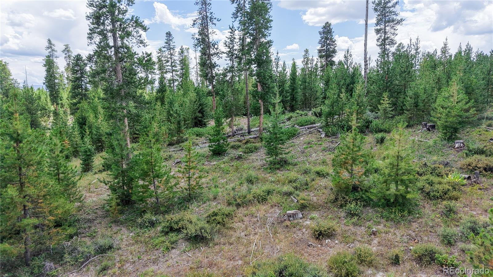 90 County Road 452 Grand Lake CO 80447