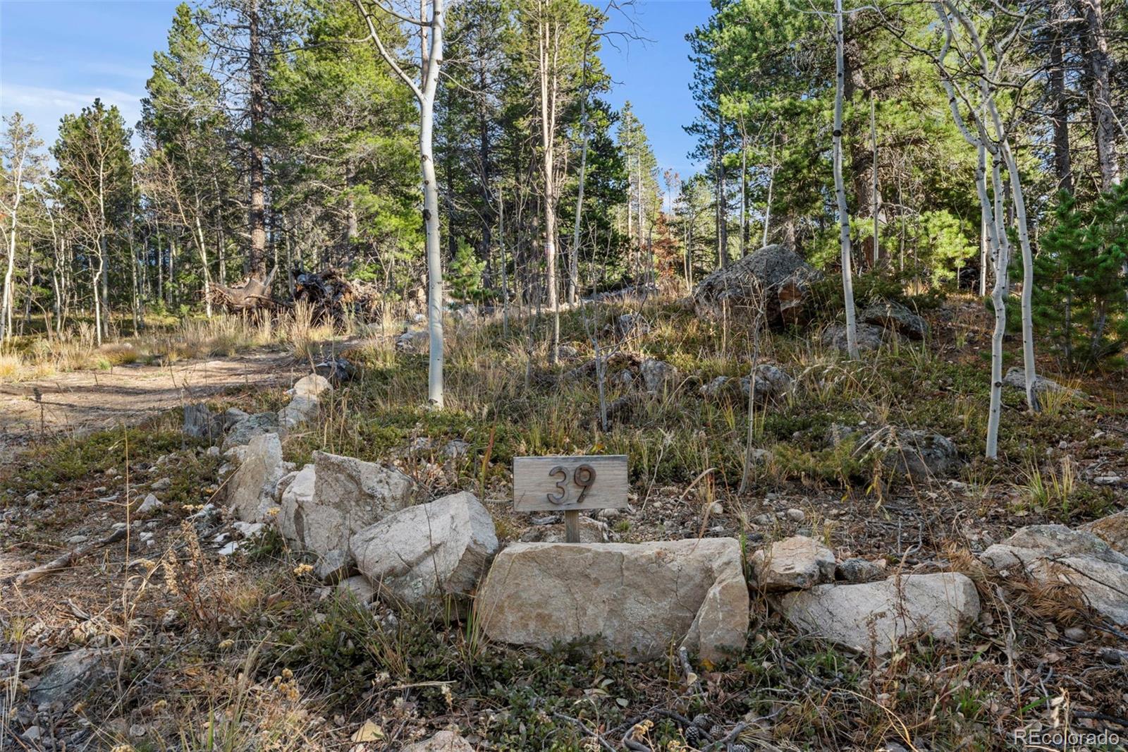 84 Severance Lodge Road Black Hawk CO 80422