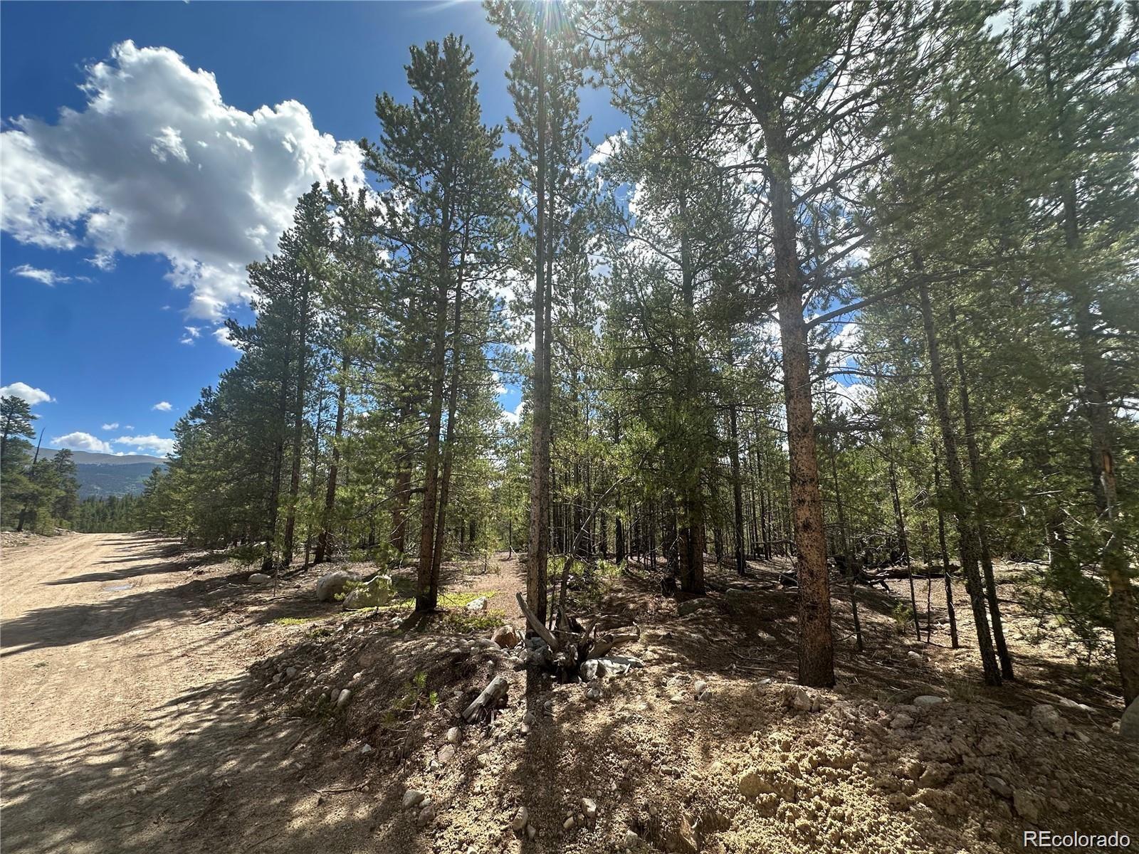 218 Aspen Drive Leadville CO 80461