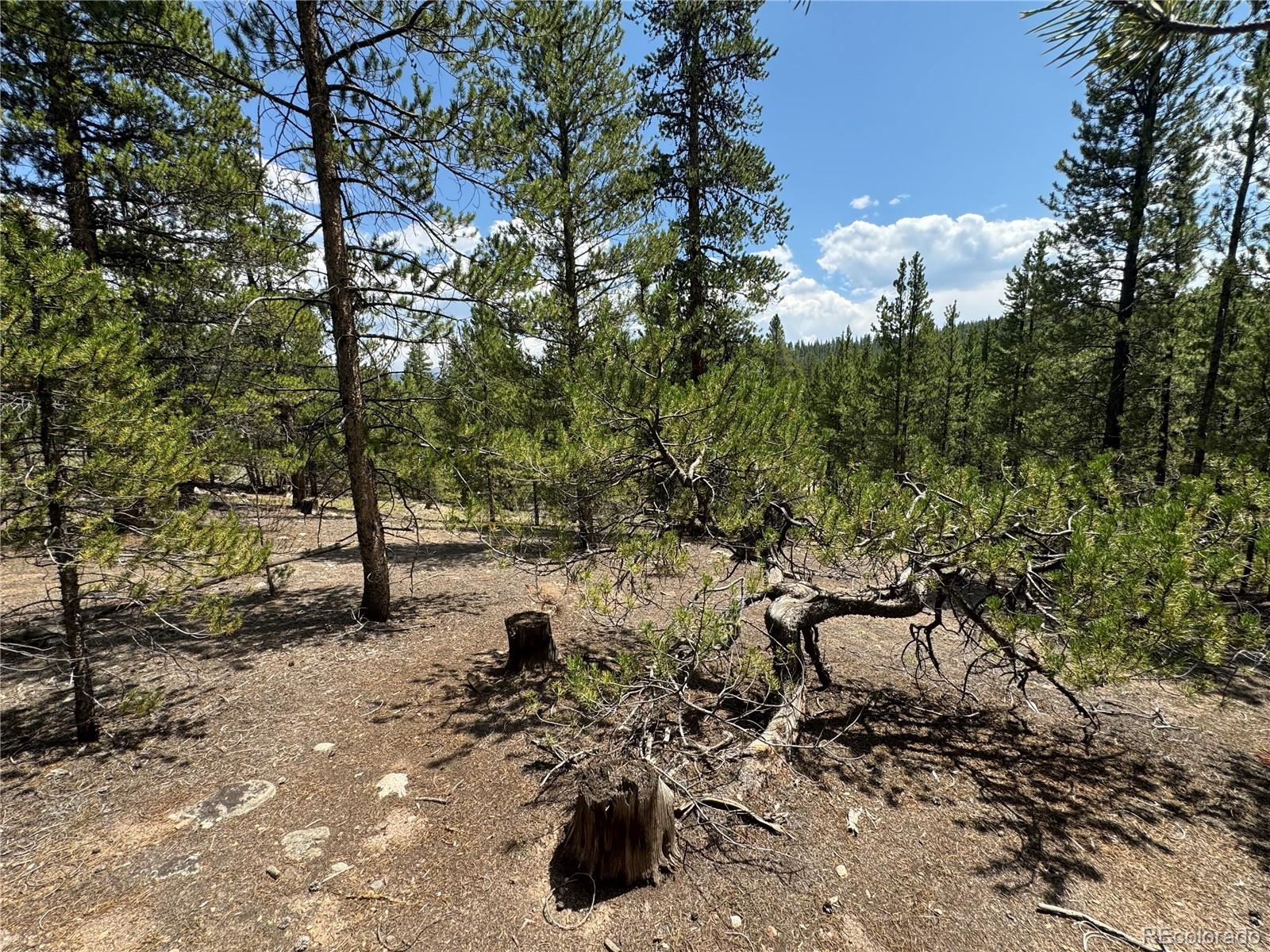 218 Aspen Drive Leadville CO 80461