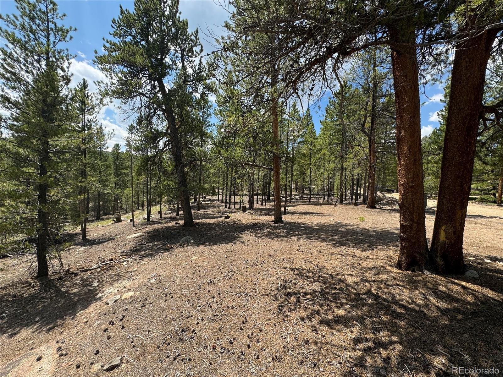 218 Aspen Drive Leadville CO 80461