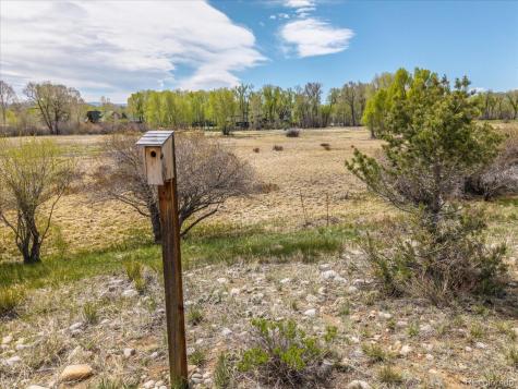 Cr 361a Buena Vista CO 81211