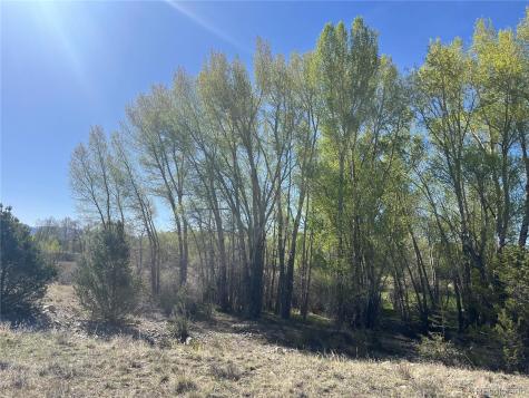 Cr 361a Buena Vista CO 81211